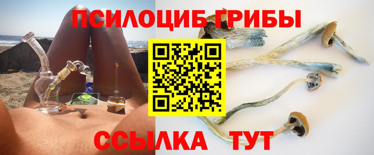 Галлюциногенные грибы Cubensis Рыбинск